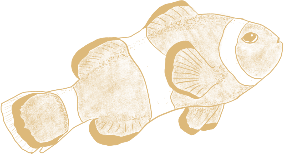 640 (3).png 640 (3).png